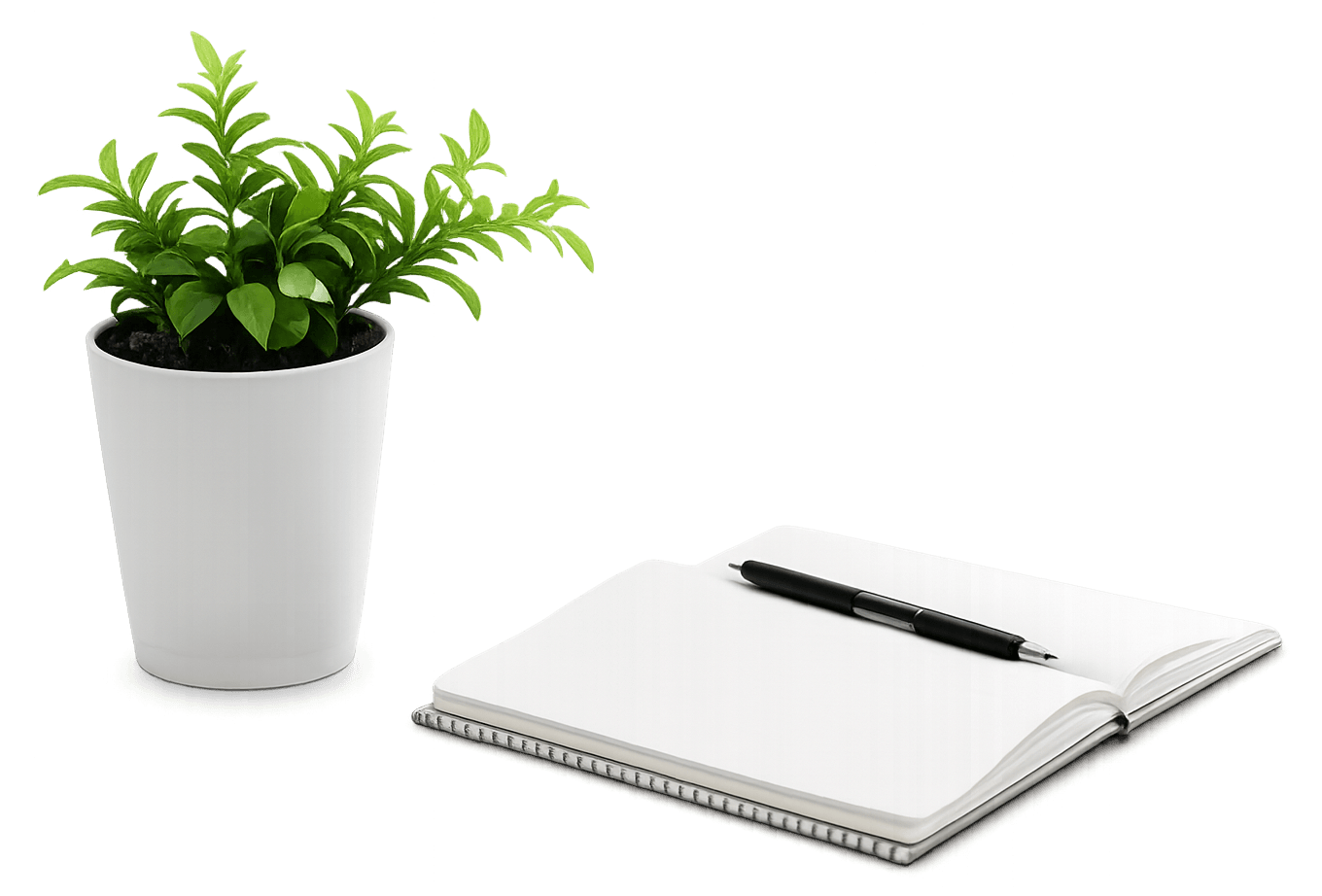 Plant and notebook